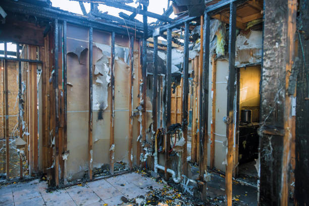 Professional Soot Removal technician working in College Park, MD